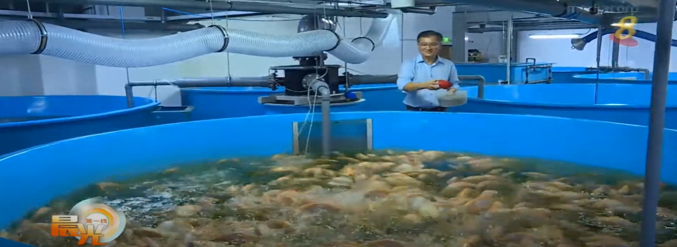 Mediacorp Morning Express features BOAT.